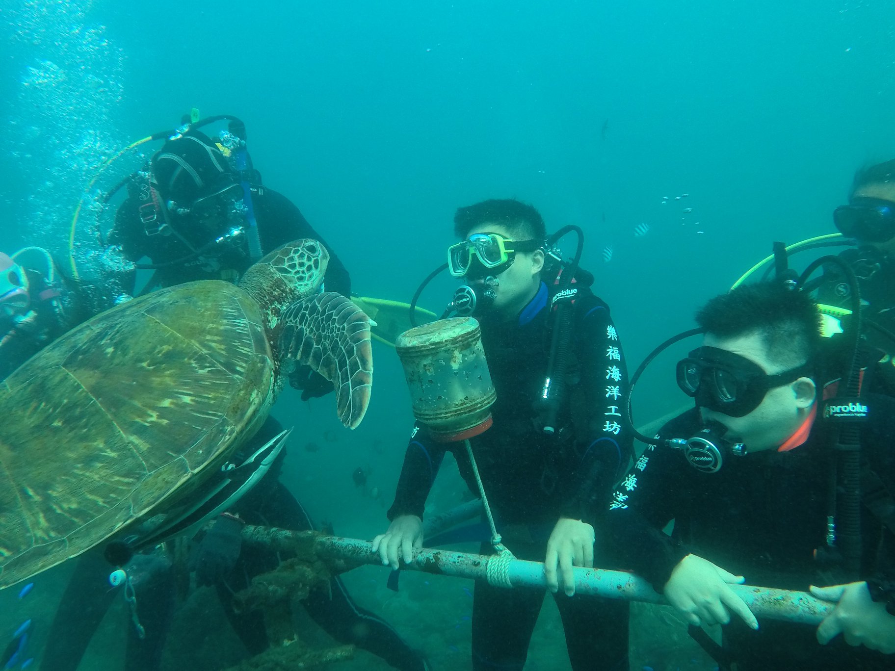 澎湖旅遊-體驗潛水(無證照)